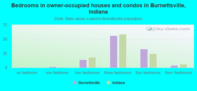 Bedrooms in owner-occupied houses and condos in Burnettsville, Indiana