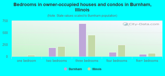 Bedrooms in owner-occupied houses and condos in Burnham, Illinois