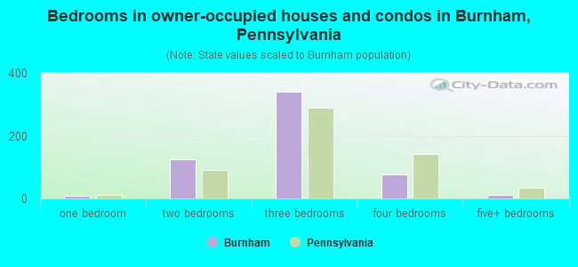 Bedrooms in owner-occupied houses and condos in Burnham, Pennsylvania