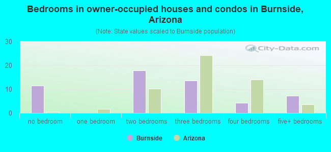 Bedrooms in owner-occupied houses and condos in Burnside, Arizona