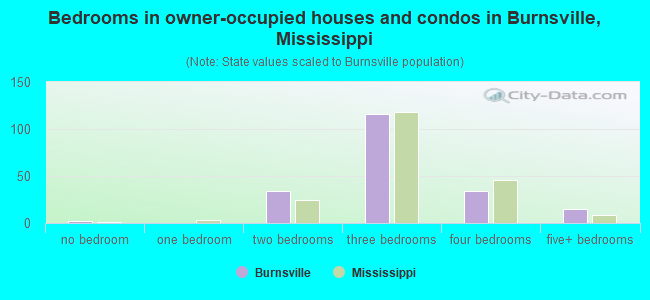 Bedrooms in owner-occupied houses and condos in Burnsville, Mississippi