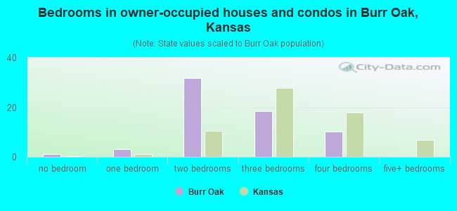 Bedrooms in owner-occupied houses and condos in Burr Oak, Kansas