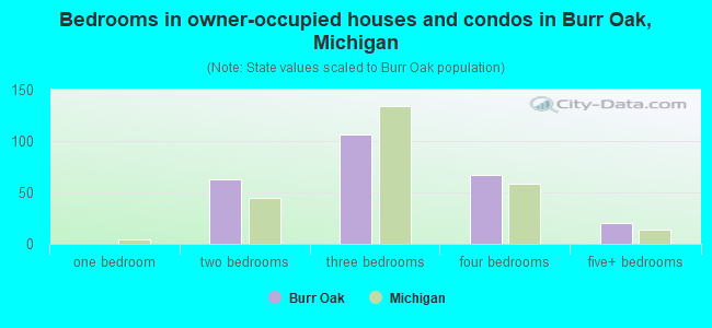 Bedrooms in owner-occupied houses and condos in Burr Oak, Michigan