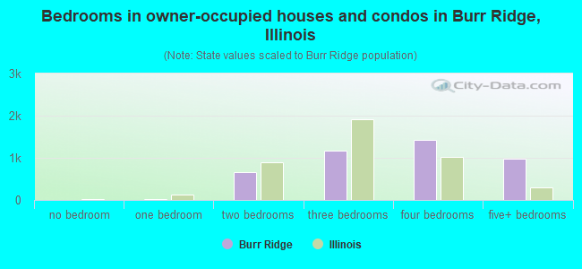 Bedrooms in owner-occupied houses and condos in Burr Ridge, Illinois