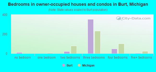 Bedrooms in owner-occupied houses and condos in Burt, Michigan