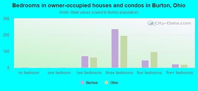 Bedrooms in owner-occupied houses and condos in Burton, Ohio