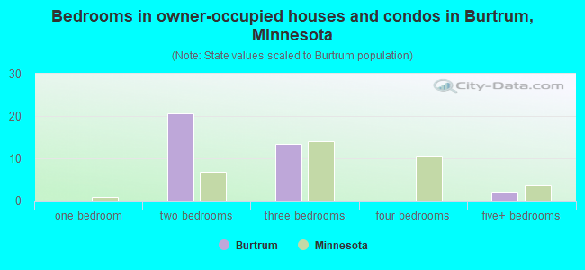 Bedrooms in owner-occupied houses and condos in Burtrum, Minnesota