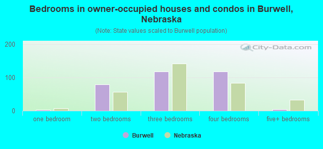 Bedrooms in owner-occupied houses and condos in Burwell, Nebraska