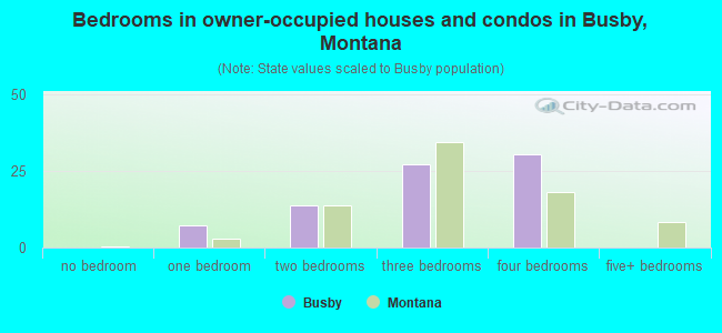 Bedrooms in owner-occupied houses and condos in Busby, Montana
