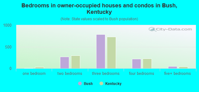 Bedrooms in owner-occupied houses and condos in Bush, Kentucky