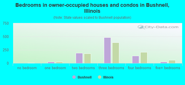Bedrooms in owner-occupied houses and condos in Bushnell, Illinois