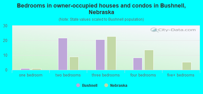 Bedrooms in owner-occupied houses and condos in Bushnell, Nebraska