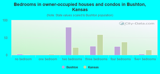 Bedrooms in owner-occupied houses and condos in Bushton, Kansas