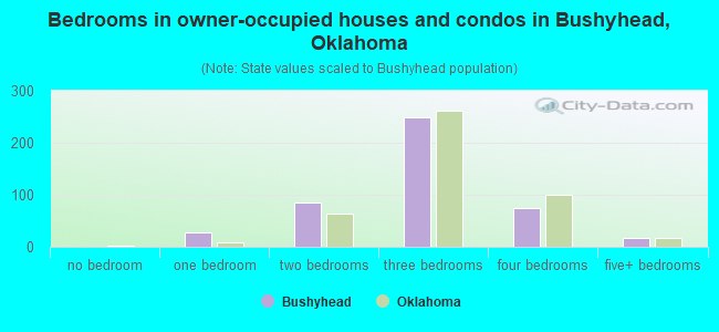Bedrooms in owner-occupied houses and condos in Bushyhead, Oklahoma
