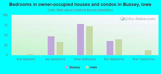 Bedrooms in owner-occupied houses and condos in Bussey, Iowa