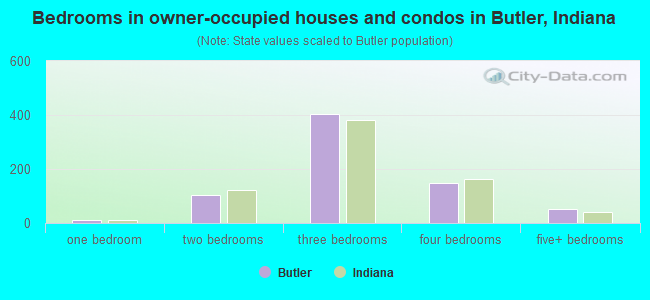 Bedrooms in owner-occupied houses and condos in Butler, Indiana
