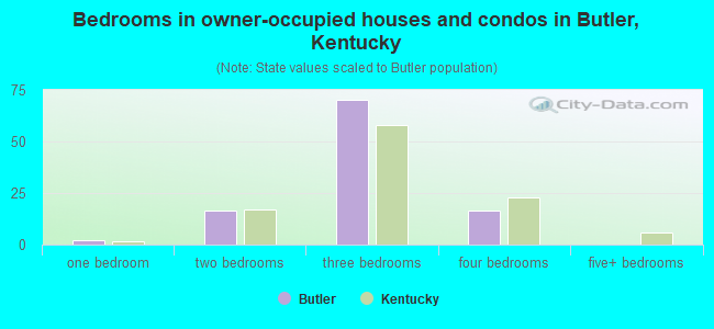 Bedrooms in owner-occupied houses and condos in Butler, Kentucky