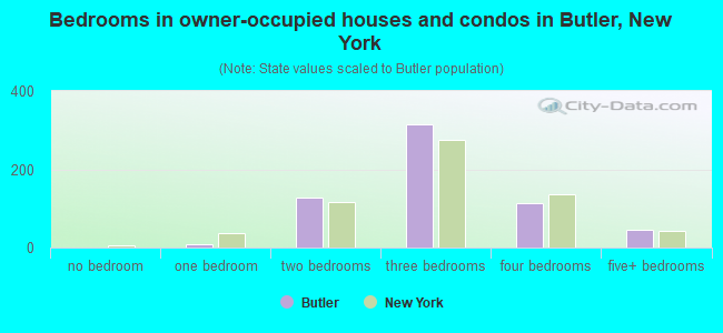 Bedrooms in owner-occupied houses and condos in Butler, New York