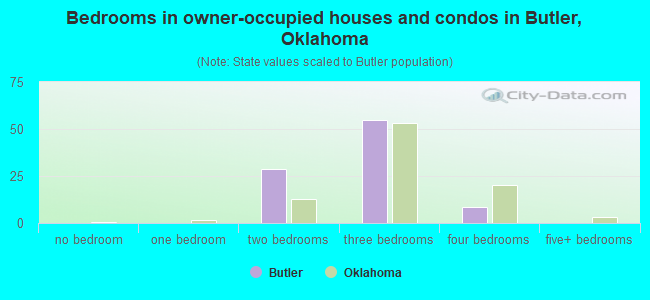 Bedrooms in owner-occupied houses and condos in Butler, Oklahoma