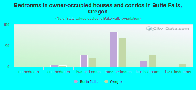 Bedrooms in owner-occupied houses and condos in Butte Falls, Oregon