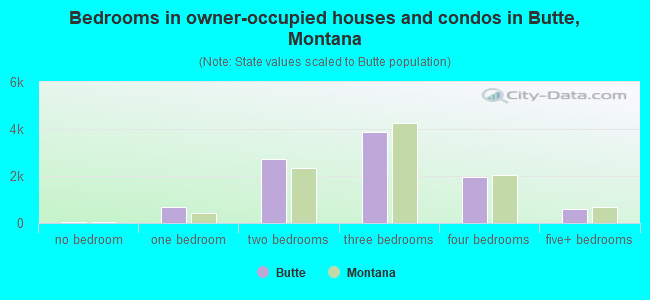 Bedrooms in owner-occupied houses and condos in Butte, Montana