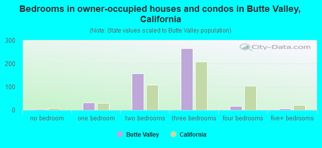 Bedrooms in owner-occupied houses and condos in Butte Valley, California