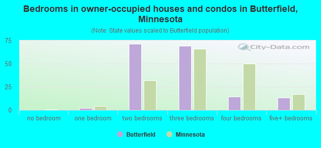 Bedrooms in owner-occupied houses and condos in Butterfield, Minnesota