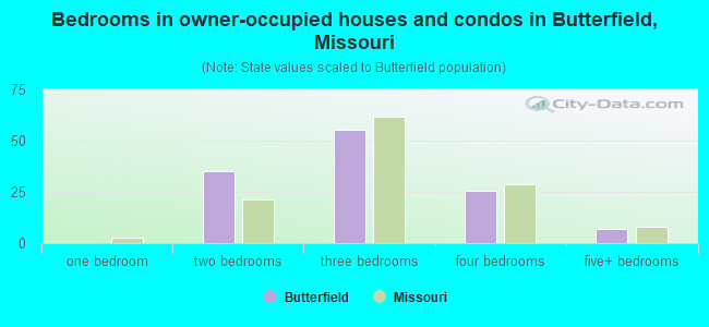 Bedrooms in owner-occupied houses and condos in Butterfield, Missouri