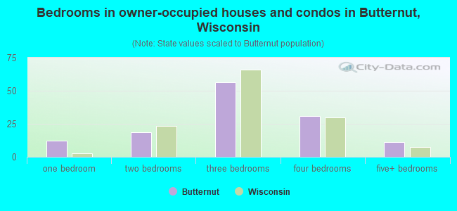 Bedrooms in owner-occupied houses and condos in Butternut, Wisconsin