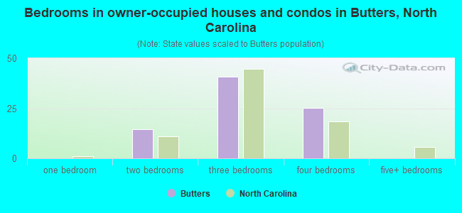 Bedrooms in owner-occupied houses and condos in Butters, North Carolina