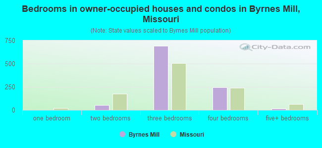 Bedrooms in owner-occupied houses and condos in Byrnes Mill, Missouri
