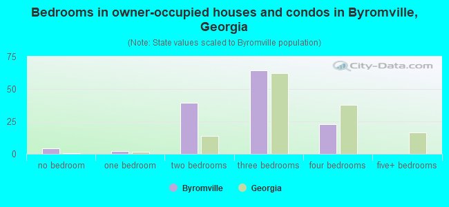 Bedrooms in owner-occupied houses and condos in Byromville, Georgia