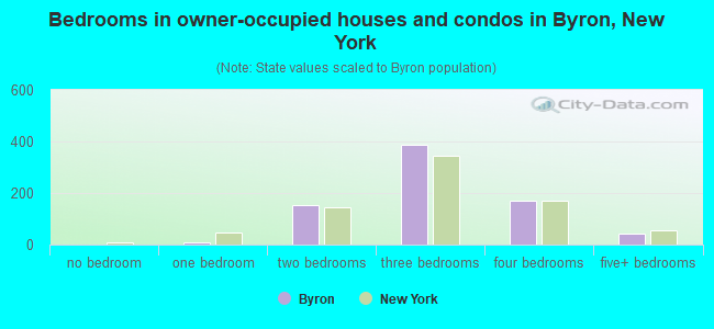 Bedrooms in owner-occupied houses and condos in Byron, New York