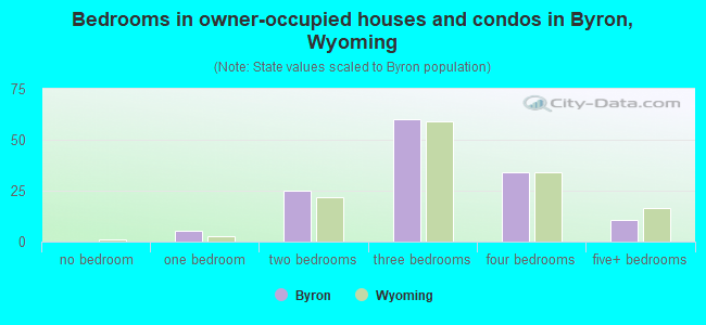 Bedrooms in owner-occupied houses and condos in Byron, Wyoming