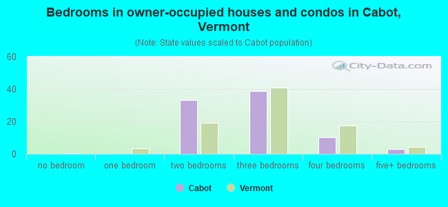 Bedrooms in owner-occupied houses and condos in Cabot, Vermont
