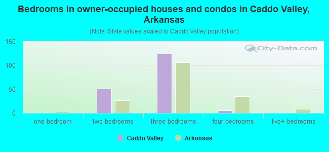 Bedrooms in owner-occupied houses and condos in Caddo Valley, Arkansas