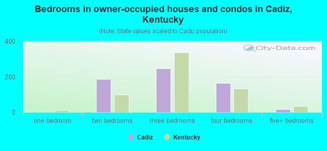 Bedrooms in owner-occupied houses and condos in Cadiz, Kentucky