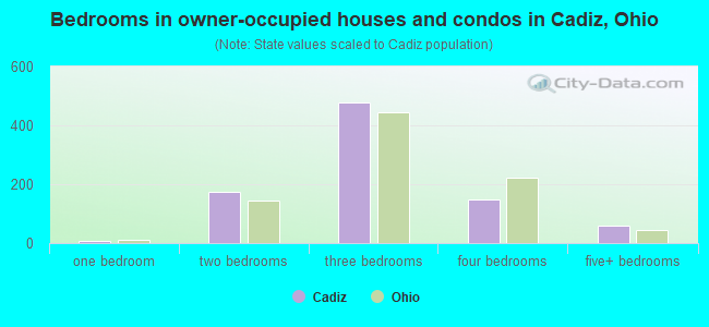 Bedrooms in owner-occupied houses and condos in Cadiz, Ohio