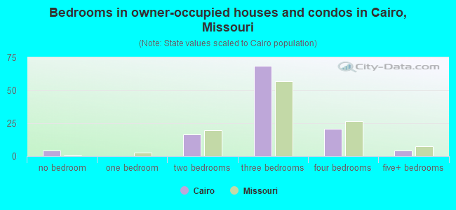 Bedrooms in owner-occupied houses and condos in Cairo, Missouri