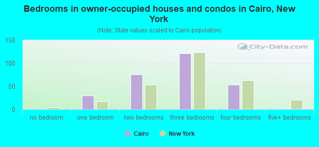 Bedrooms in owner-occupied houses and condos in Cairo, New York