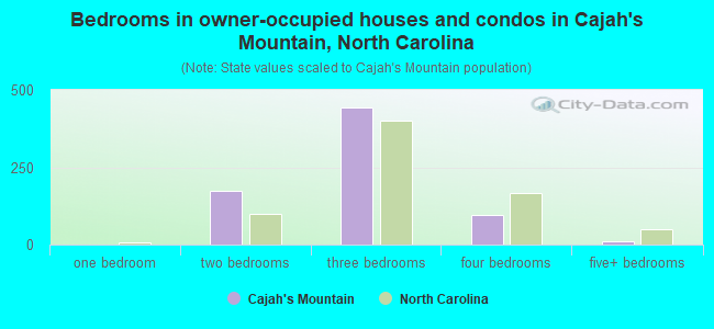 Bedrooms in owner-occupied houses and condos in Cajah's Mountain, North Carolina