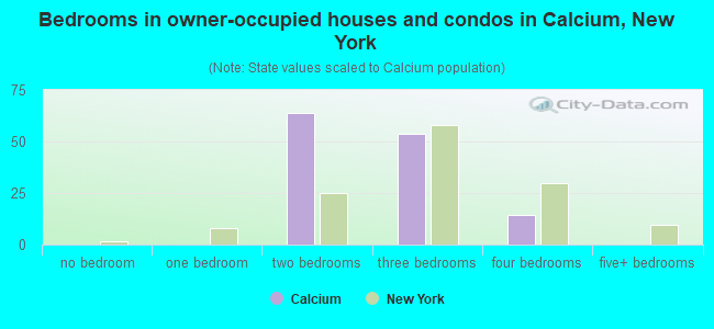 Bedrooms in owner-occupied houses and condos in Calcium, New York
