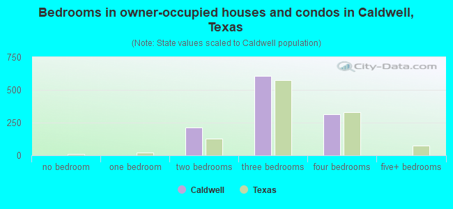 Bedrooms in owner-occupied houses and condos in Caldwell, Texas