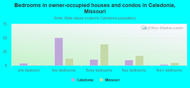 Bedrooms in owner-occupied houses and condos in Caledonia, Missouri