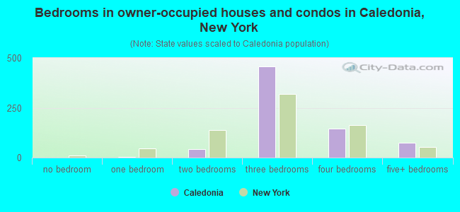 Bedrooms in owner-occupied houses and condos in Caledonia, New York