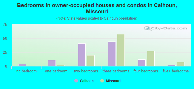 Bedrooms in owner-occupied houses and condos in Calhoun, Missouri
