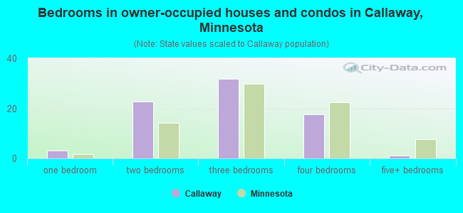 Bedrooms in owner-occupied houses and condos in Callaway, Minnesota