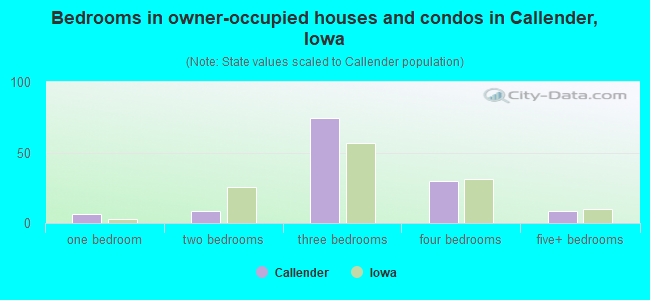 Bedrooms in owner-occupied houses and condos in Callender, Iowa