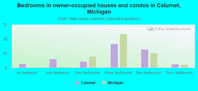 Bedrooms in owner-occupied houses and condos in Calumet, Michigan