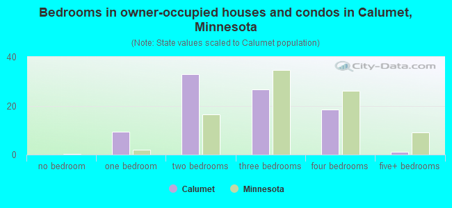 Bedrooms in owner-occupied houses and condos in Calumet, Minnesota